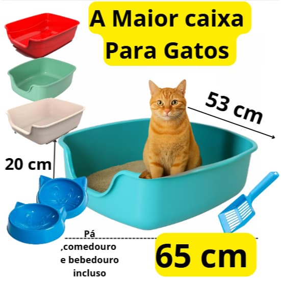 Kit com 4 itens Caixa de areia gigante funda de 65 cm big  Gatos Bandeja pá bebedouro e comedouro