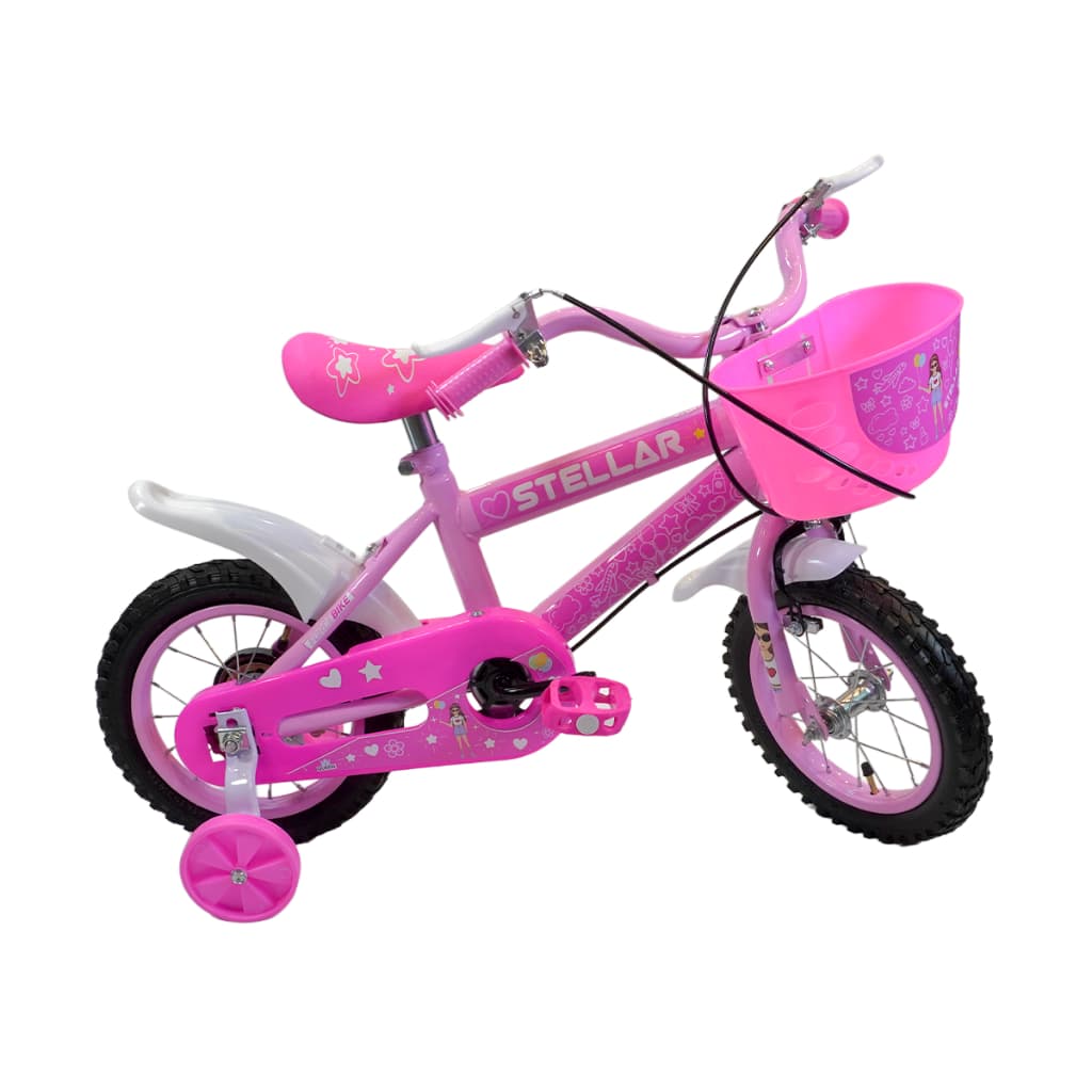Bicicleta Aro 12 - Rodas e Raios De Aço - Alta Durabilidade - 2 a 7 anos - Banco Macio -Freio VBrake