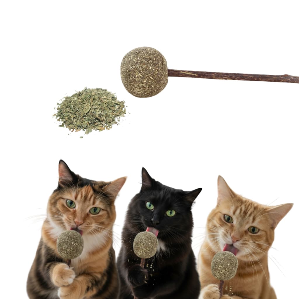 Pirulito Catnip Bola para Gato Cabo Madeira para Limpar Dente Erva Gatos Natural Antiestresse Relaxa Brinquedo Divertido