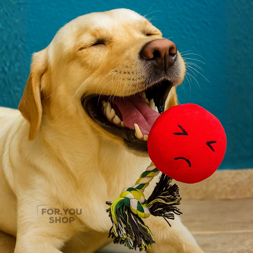 Pelúcia Mordedor com Corda para Cães – Brinquedo Interativo, Resistente e Seguro para Diversão e Higiene Dental do Pet