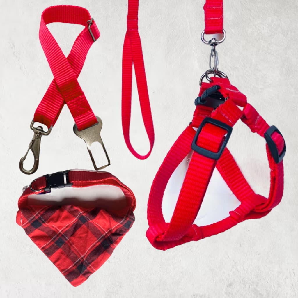 KIT COMPLETO ESTILO AMERICANO - PEITORAL AJUSTÁVEL, COLEIRA COM BANDANA, GUIA E CINTO DE SEGURANÇA