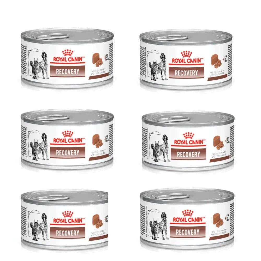 Kit 6 Unidades Royal Canin Recovery 195g Alimento Úmido Cães e Gatos em Recuperação