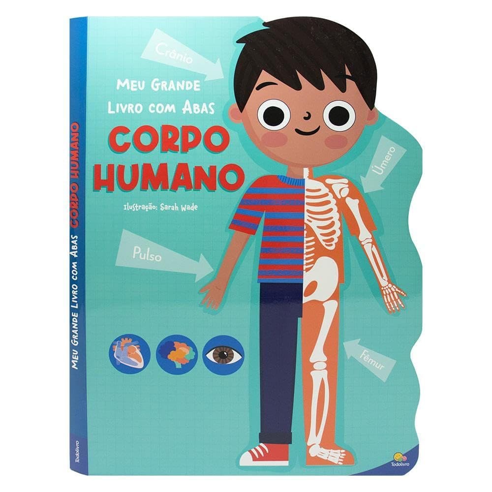 Livro - Meu Grande Livro com Abas: Corpo Humano - Capa dura