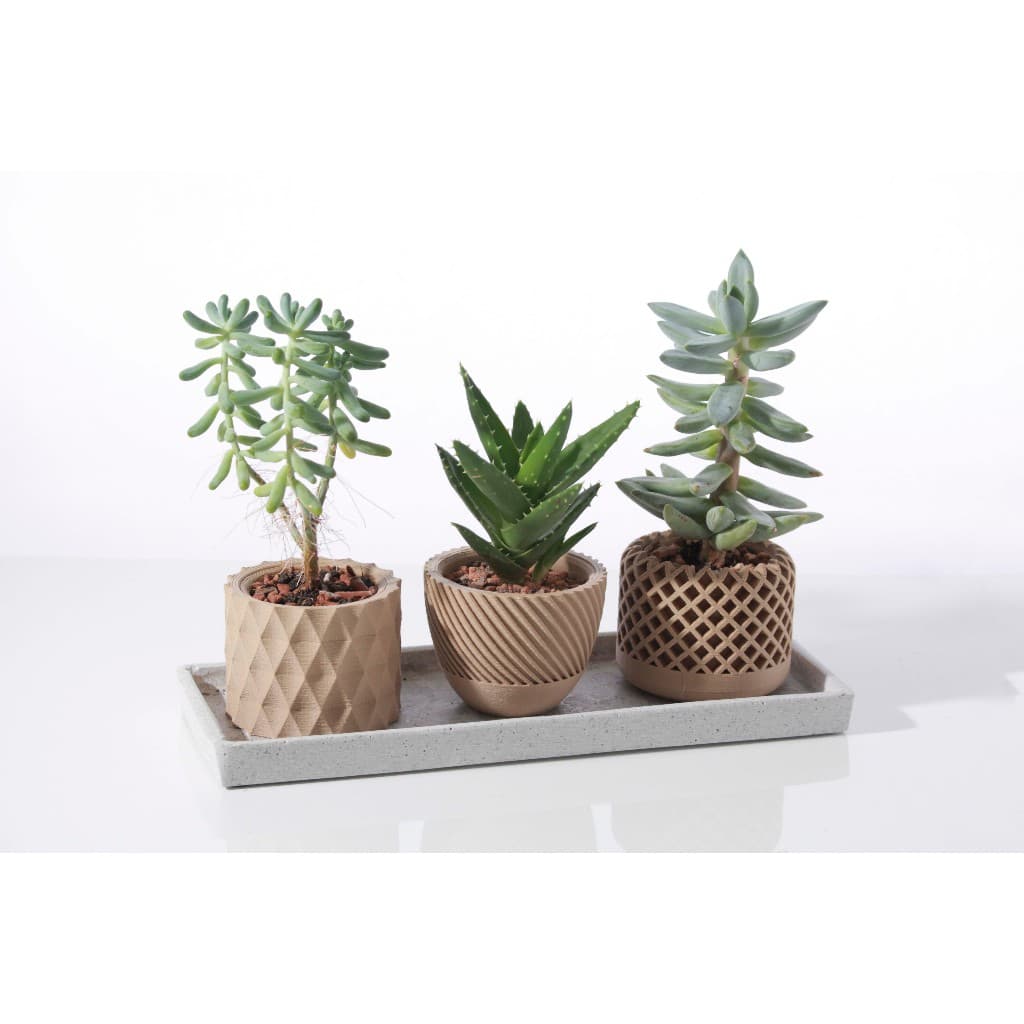 Kit 3 Vaso de Suculentas Geométrico Moderno