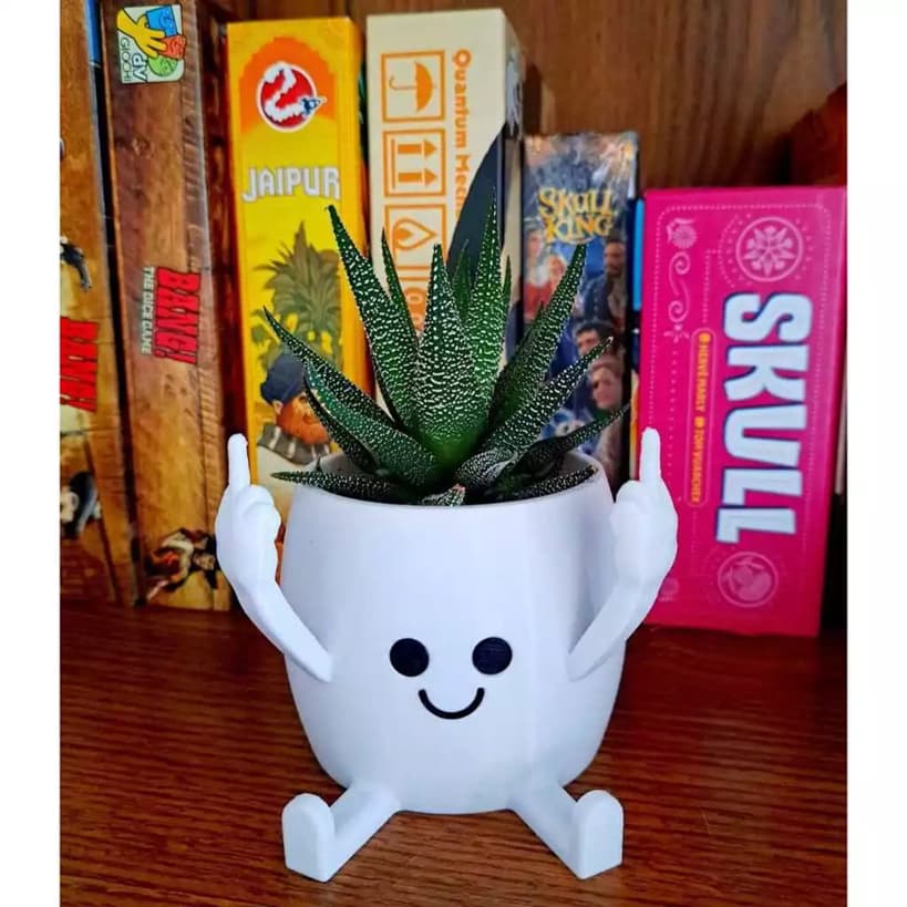 Vaso Suculentas Dedo do Meio