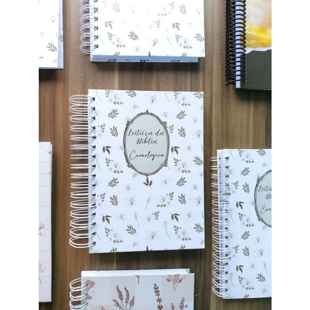 Caderno Guia de Leitura da Bíblia Livre Cronológica  Personalizado