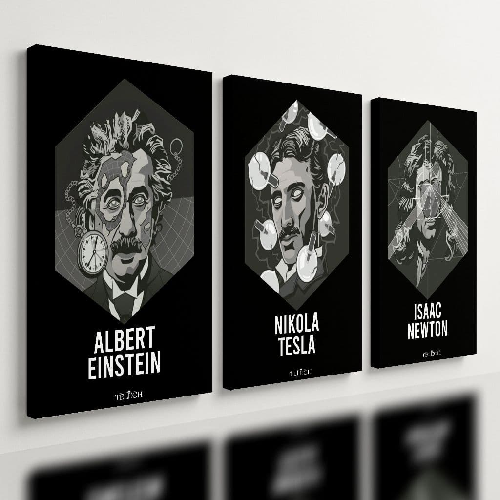 Kit 3 Quadro Decorativo Física Einstein Tesla Newton Ciencia