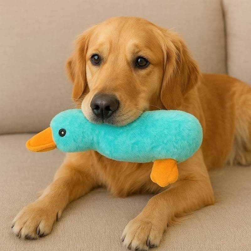 Brinquedo Para Pet Pelúcia Pato Com Apito