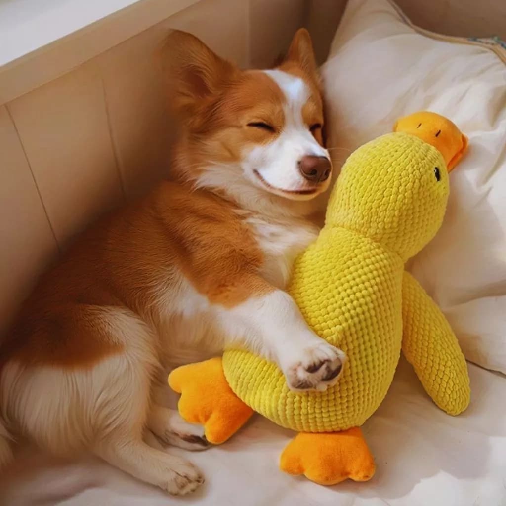 Brinquedo De Pelúcia Pato Amarelo Para Cachorro Com Som Interativo