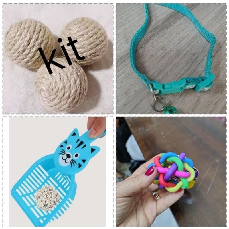 Kit gato, brinquedo, coleira e pá higiênica