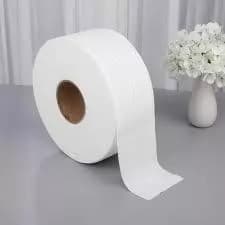 Papel Higiênico Rolo com 300 metros Soft - Folha Simples