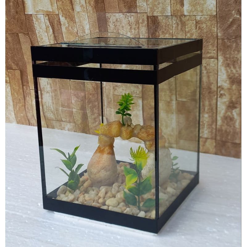 Aquário Beteira Tubular Cubo Decorada Peixe Betta 4,5 Litros (até a borda)