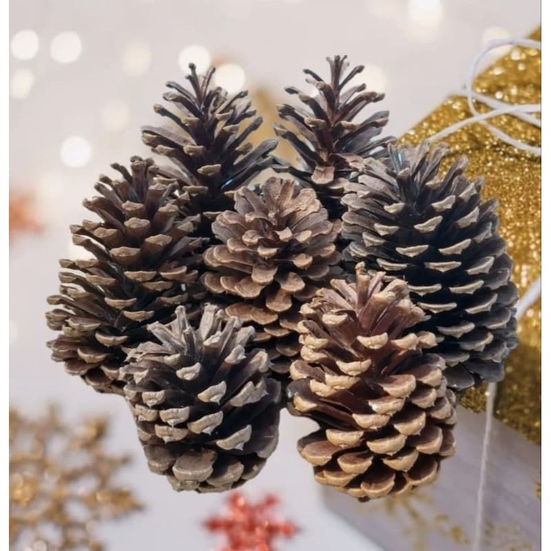 KIT 40 PINHAS NATURAIS ARTESANATO NATAL DECORAÇÃO