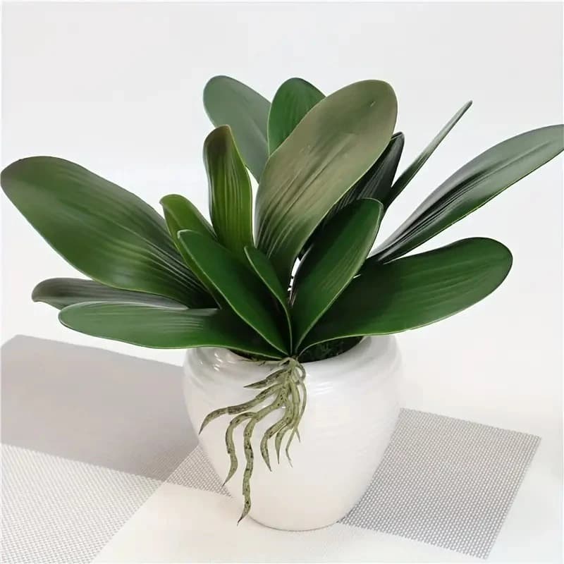 Folha De Orquidea Raizes Arranjos Artificiais Lindas Flores - ZH800407