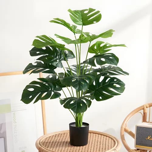 Kit 1/2 Buquê de Costela de Adão Artificial 12/24 Folhas 50cm Folhas Artificiais de Planta