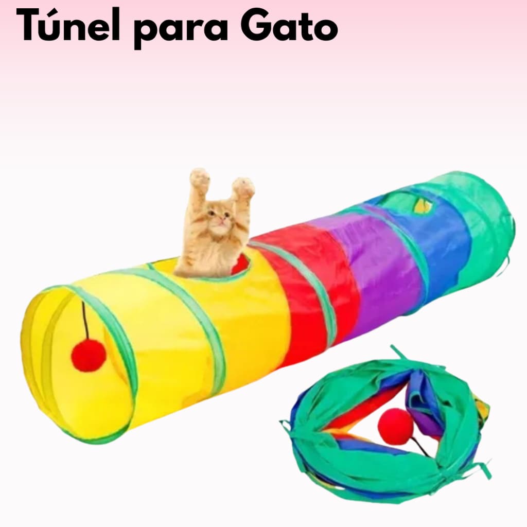Túnel colorido interativo gato labirinto cachorro