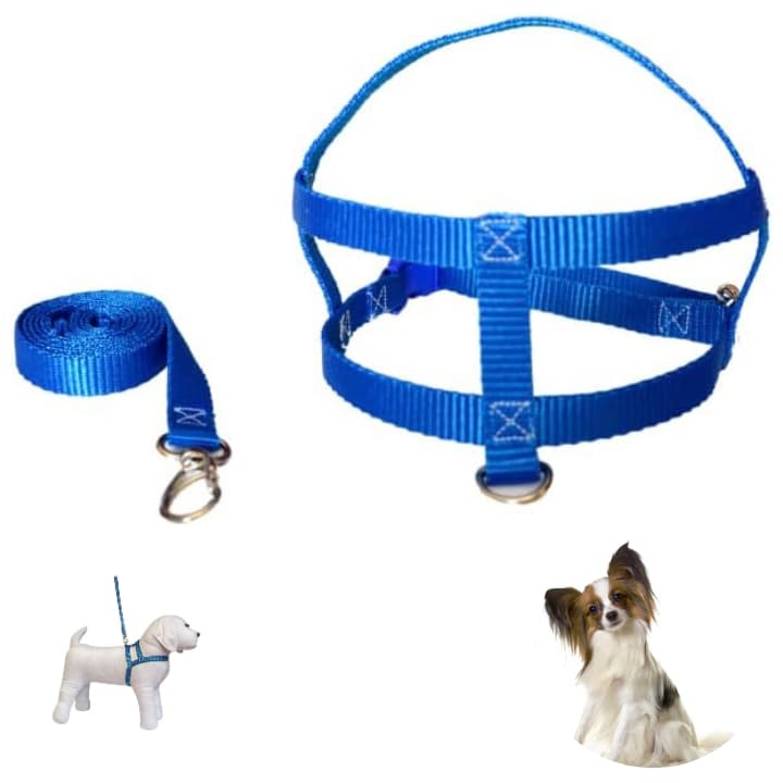 Coleira Peitoral Simples com Guia para Cachorro – Leve, Confortável e Ajustável 01