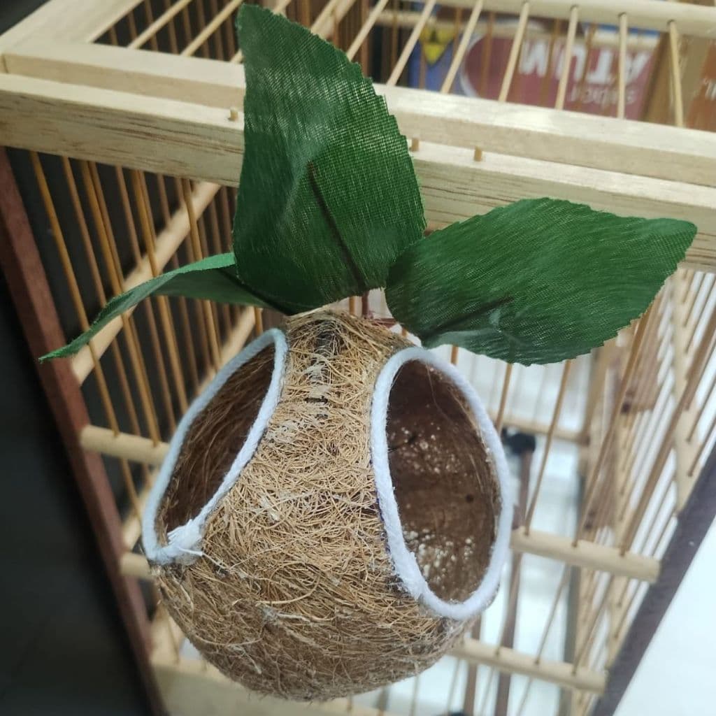Ninho bola para COLEIRO com 2 furo na fibra de coco com folhas artificias
