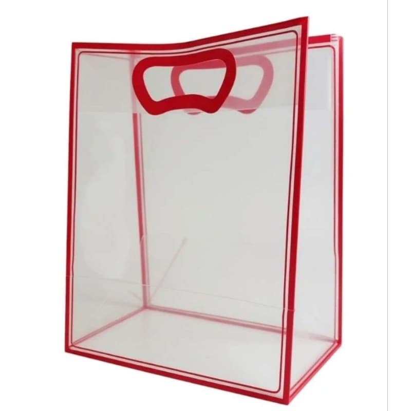Sacola Transparente Fosca Pvc Alça Plana - P 5 unidades