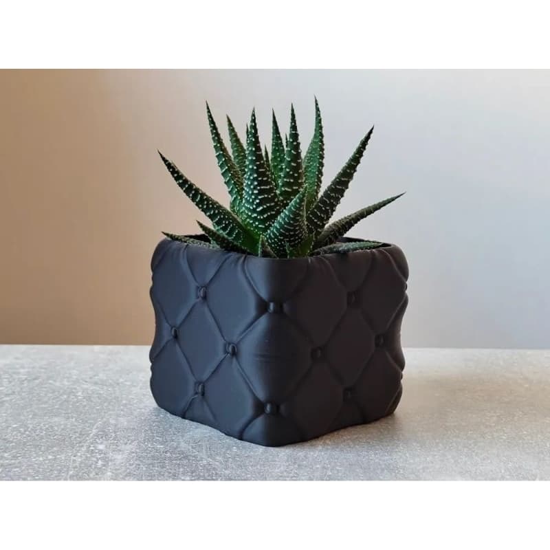 Vaso de planta suculenta  decorativo minimalista