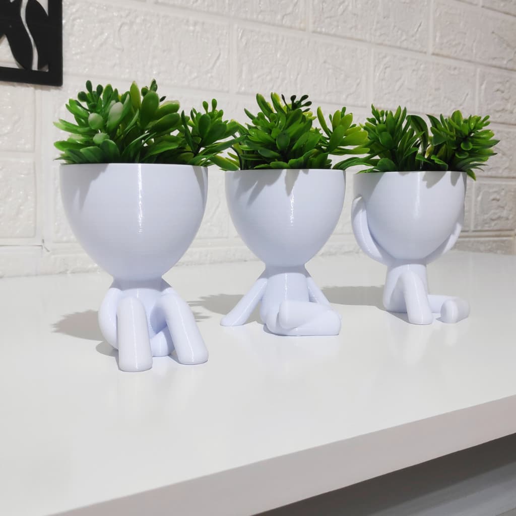 Kit 3 Vasinhos para Suculentas e Cactos Robert Plant Decoração Estante Sala Banheiro