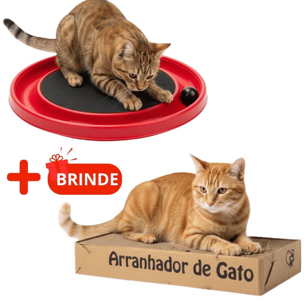 Brinquedo Arranhador Gato Interativo Com Bolinha Relax Para Gatos Com Brinde Exclusivo