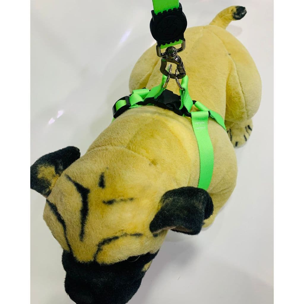 Peitoral Neon Pet Cachorro Ajustável, Confortável Refletivo