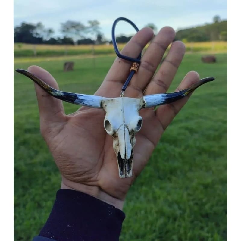 Acessório Retrovisor de Automóveis - Longhorn - Crânio de Touro ❣️