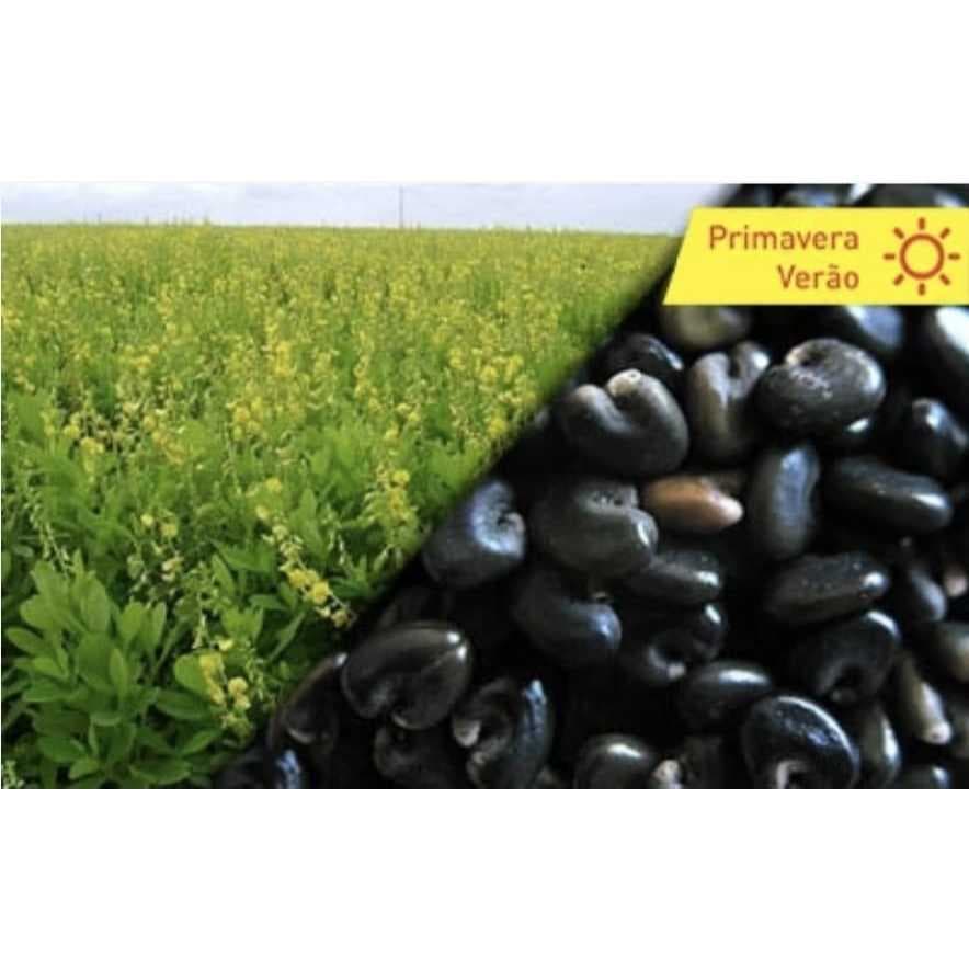 Sementes de Crotalaria spectabilis 1kg