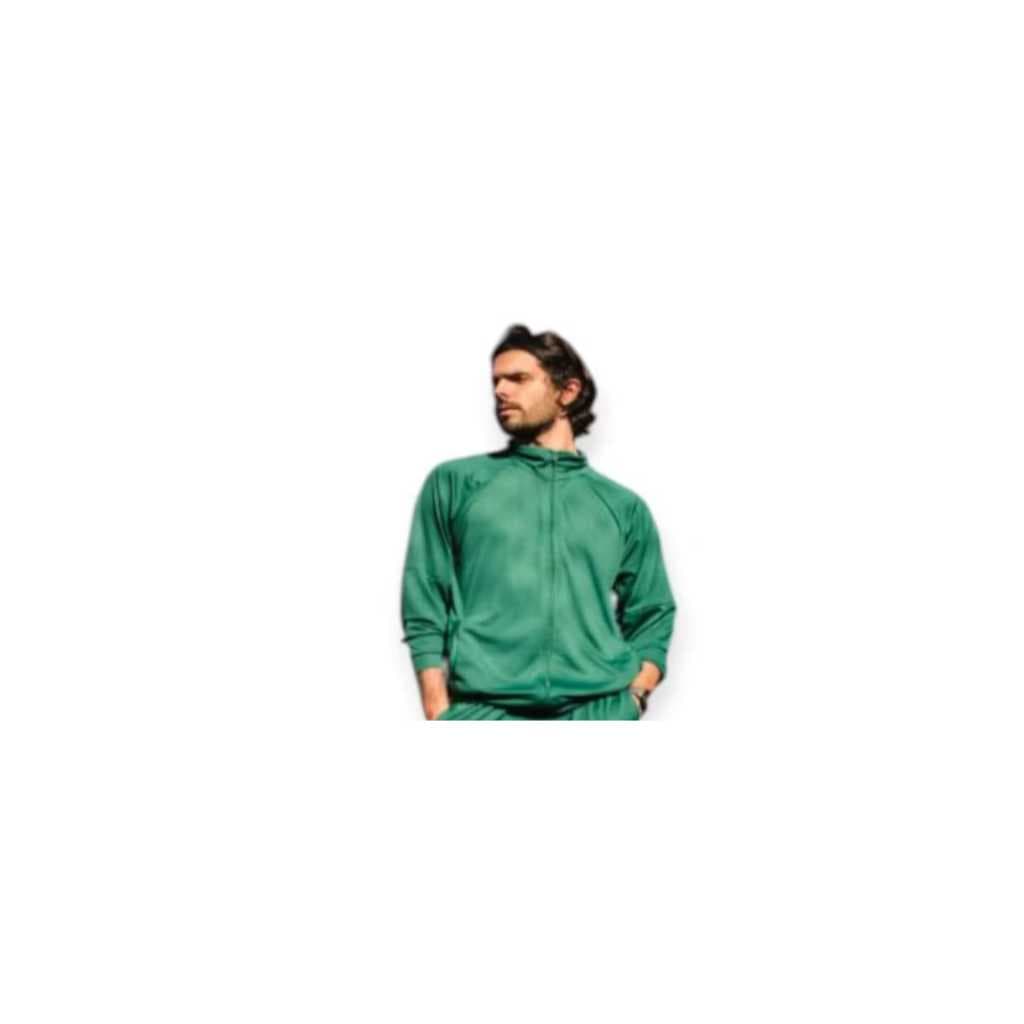 Jaqueta Blusa Jogger Masculina Verde Palmeiras Dry Fit academia futebol Sem Capuz