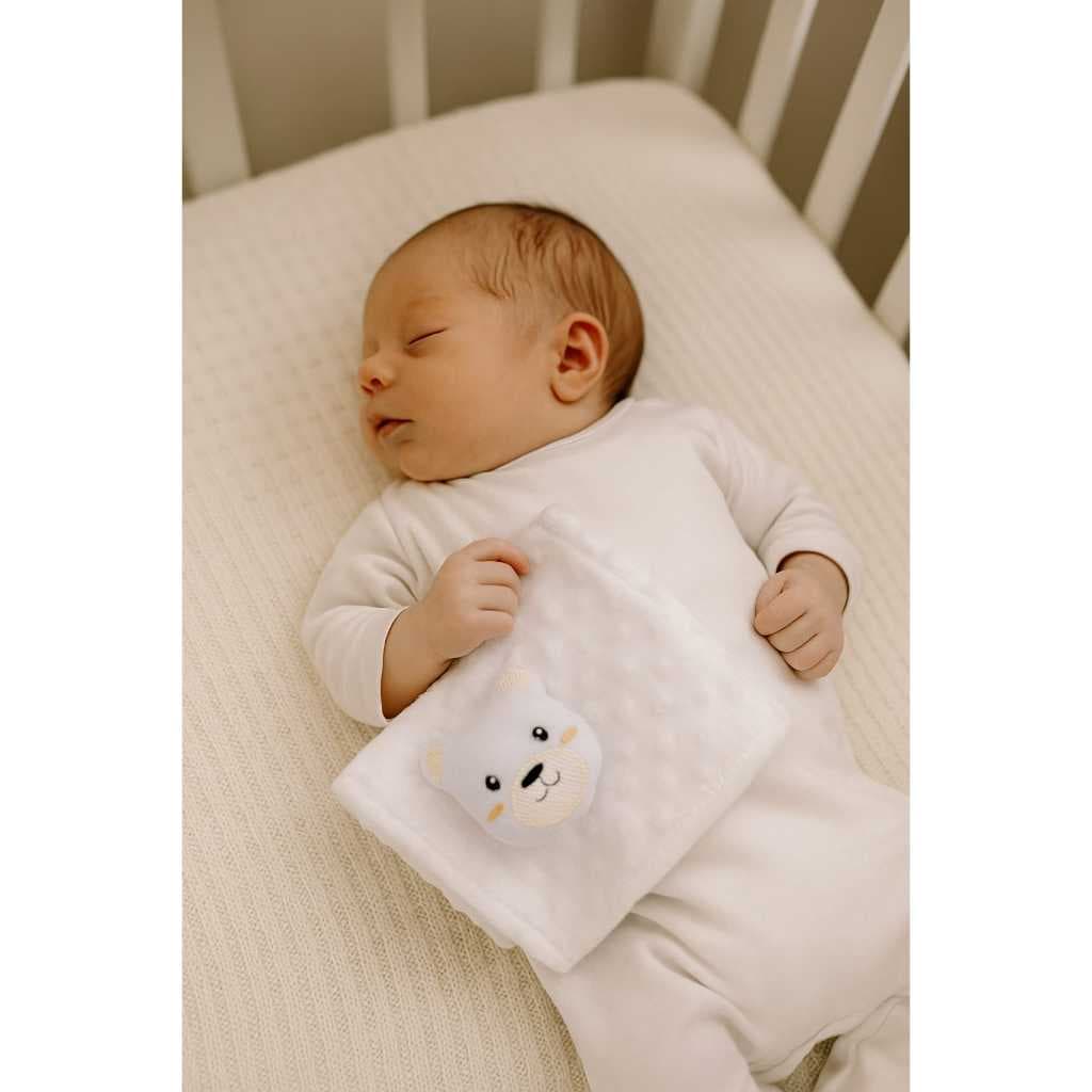 Naninha Bebê Tecido soft plush ursinho paninho fofinho promoção barato bebê consolo neném recém nascido
