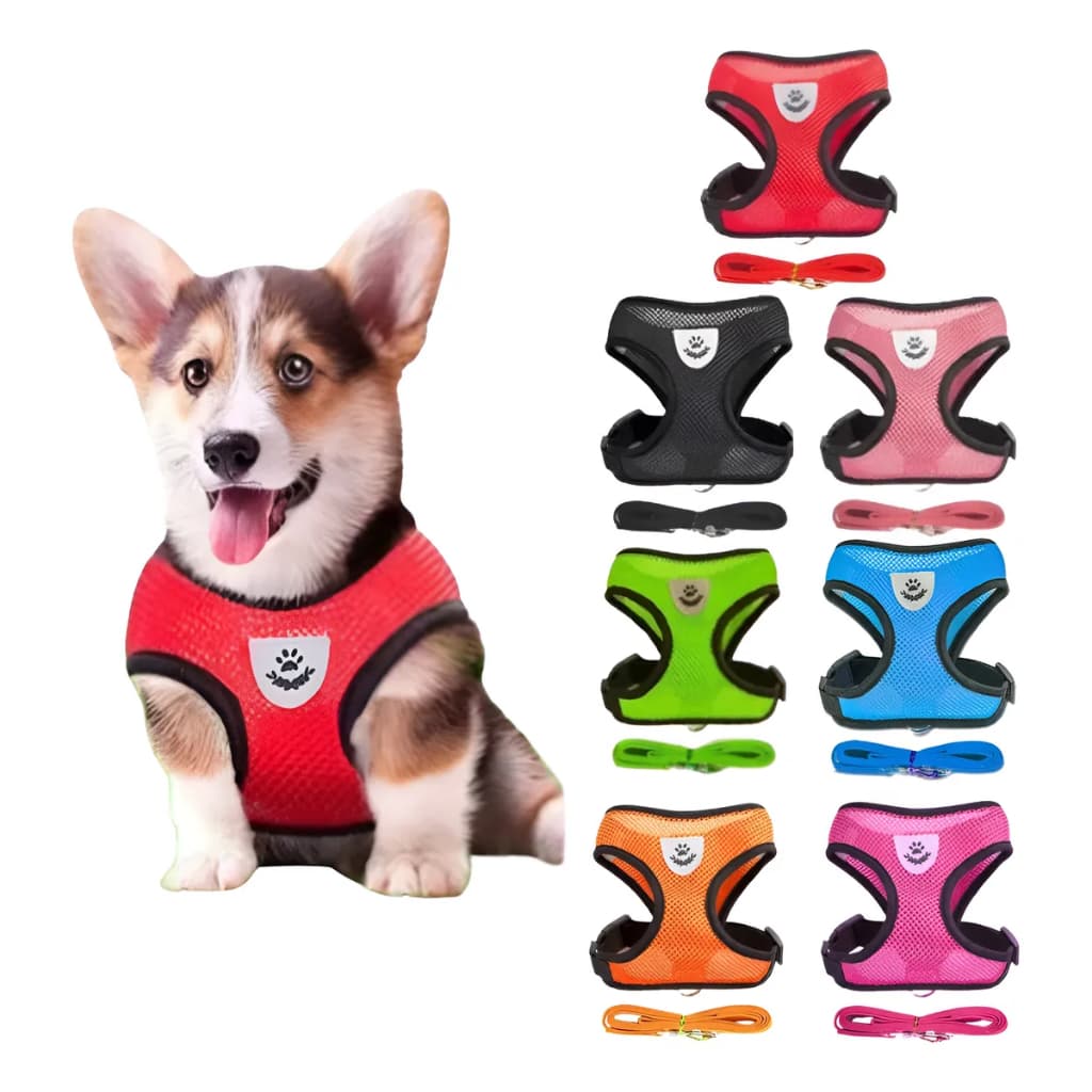 Coleira Colete Peitoral Cachorros Gatos Pet Ajustável Refletivo Respirável + Guia de 1.20 cm