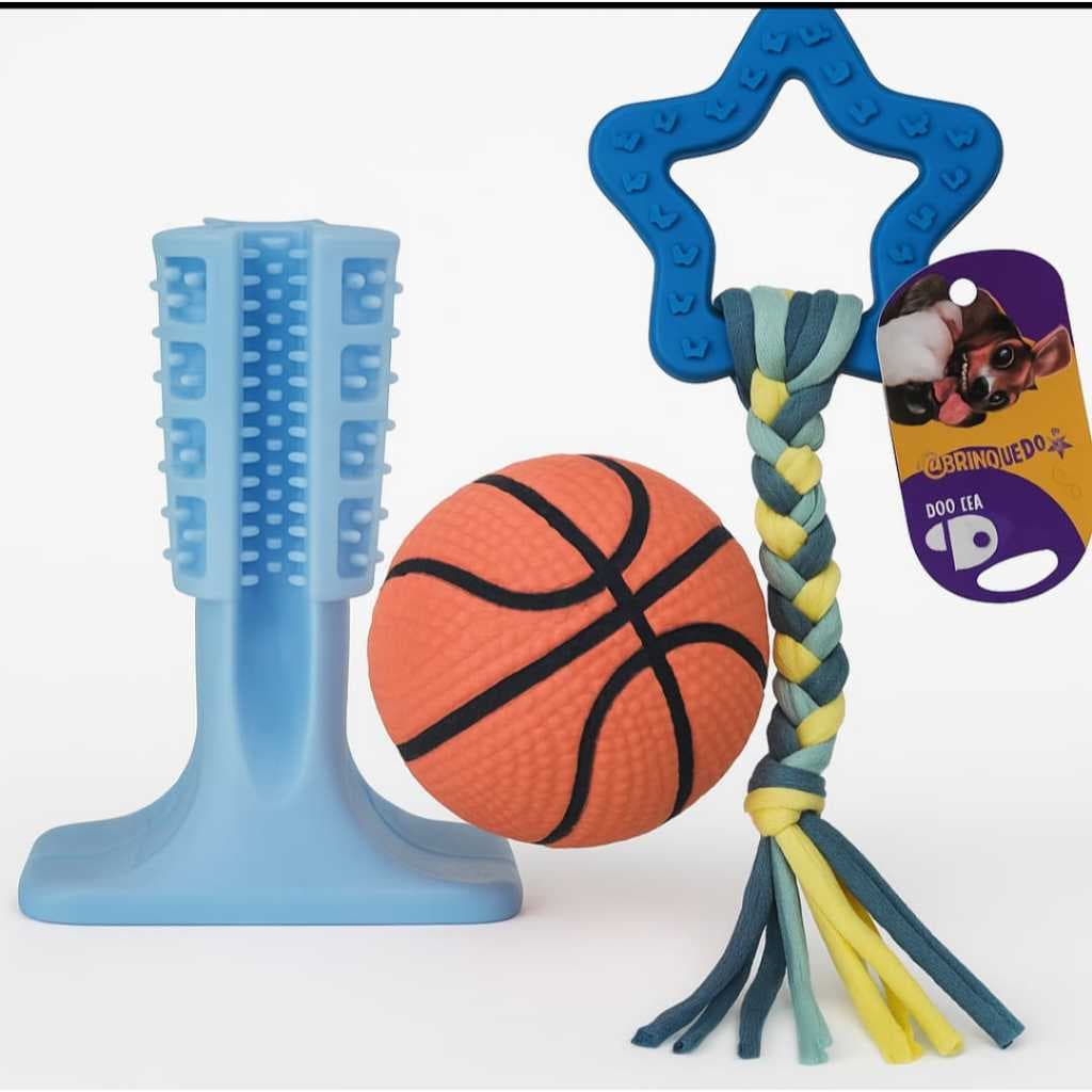 Kit brinquedos e mordedores pet