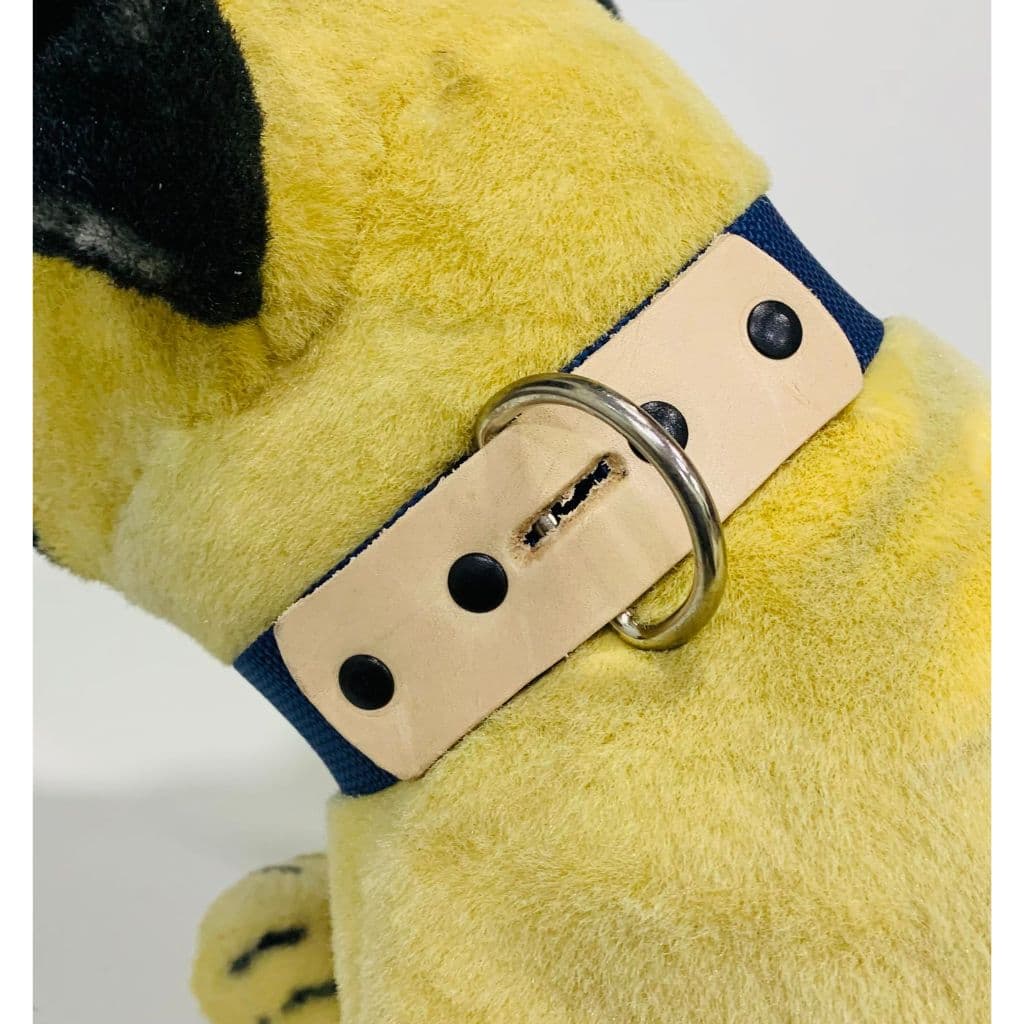 Coleira Pet Cachorro Nylon Reforçado Com Couro Ajustável