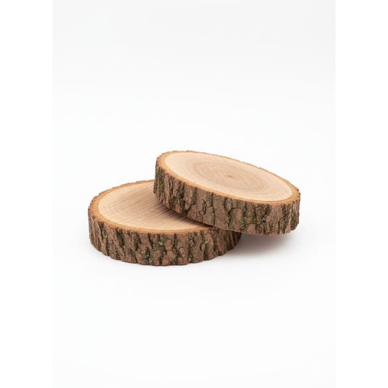 kits bolachas de madeira 6 a 12cm artesanato vasos plantas decoração rustica