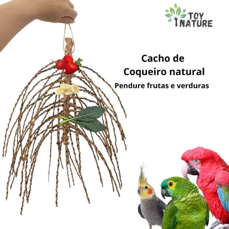 Cacho de Coqueiro natural 100% natural Brinquedo Pendurar alimentos ave calopsita Toy Nature