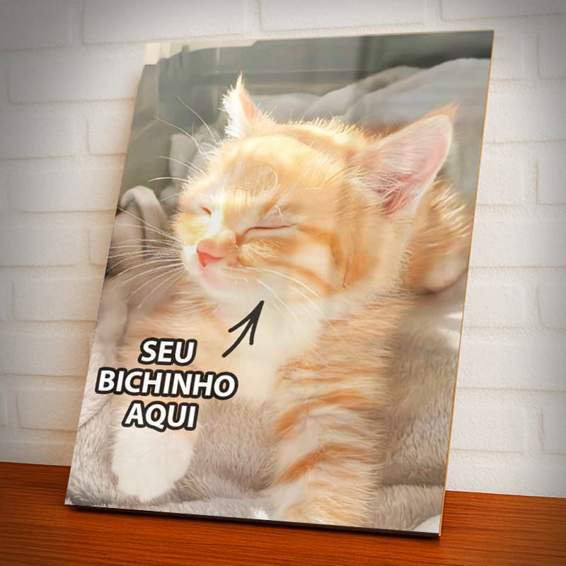 Placa Decorativa Quadro Foto Seu Pet, A4, Personalizado, Cachorro, Gato, Animal, Presente - A4
