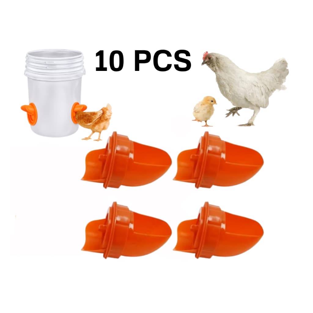 Kit Bico Alimentador Comedouro Automático para Galinhas Aves