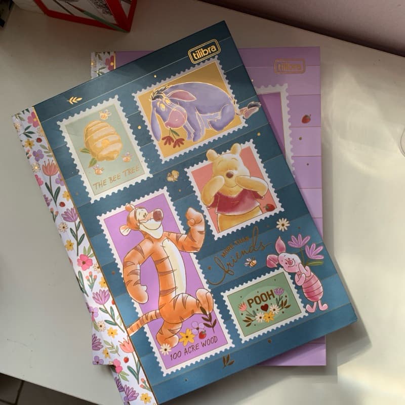 Caderno do Pooh | Caderno capa dura | Caderno Brochura Pooh