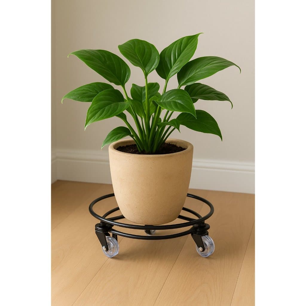 Suporte para Botijão de Gás e Vaso de Plantas com Rodinhas 360º em Ferro Reforçado - Preto