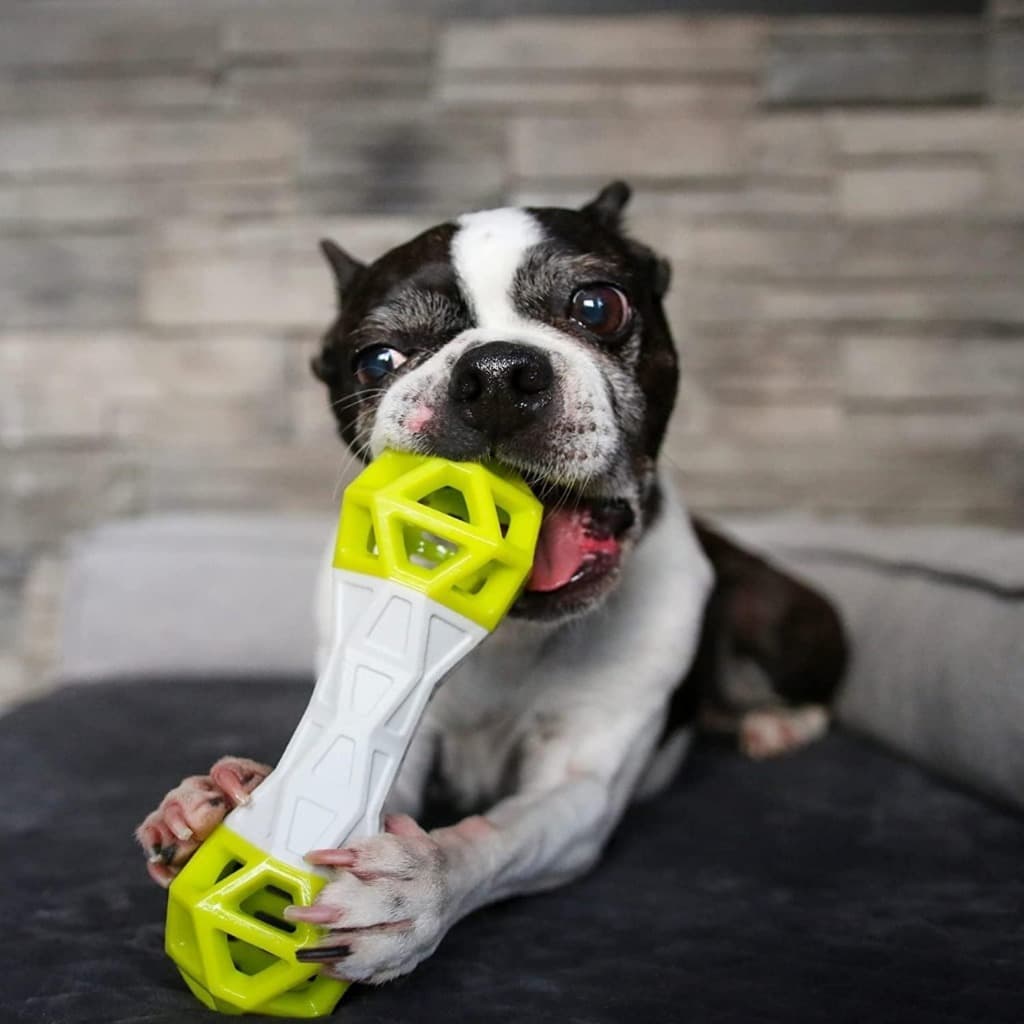 Halter Interativo Pet Brinquedo Cão Porta Petisco Resistente