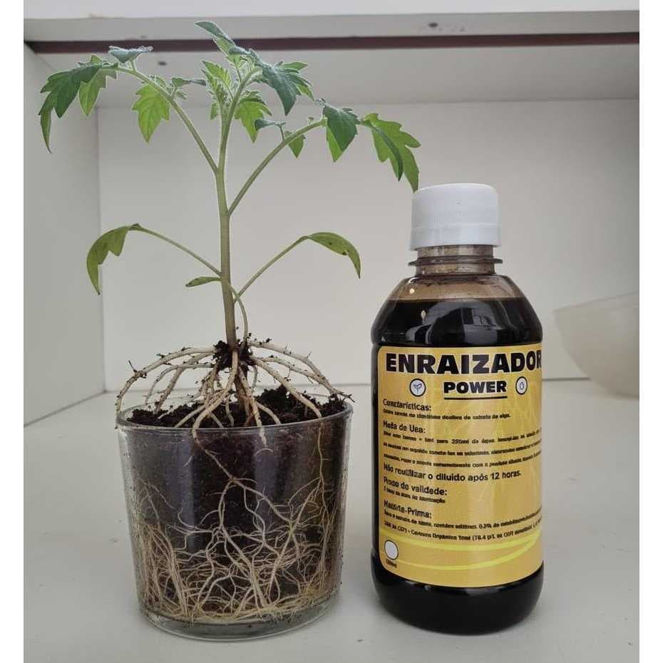 Enraizador Adubo Fertilizante Orgânico 100 Ml Rende 5 Litro