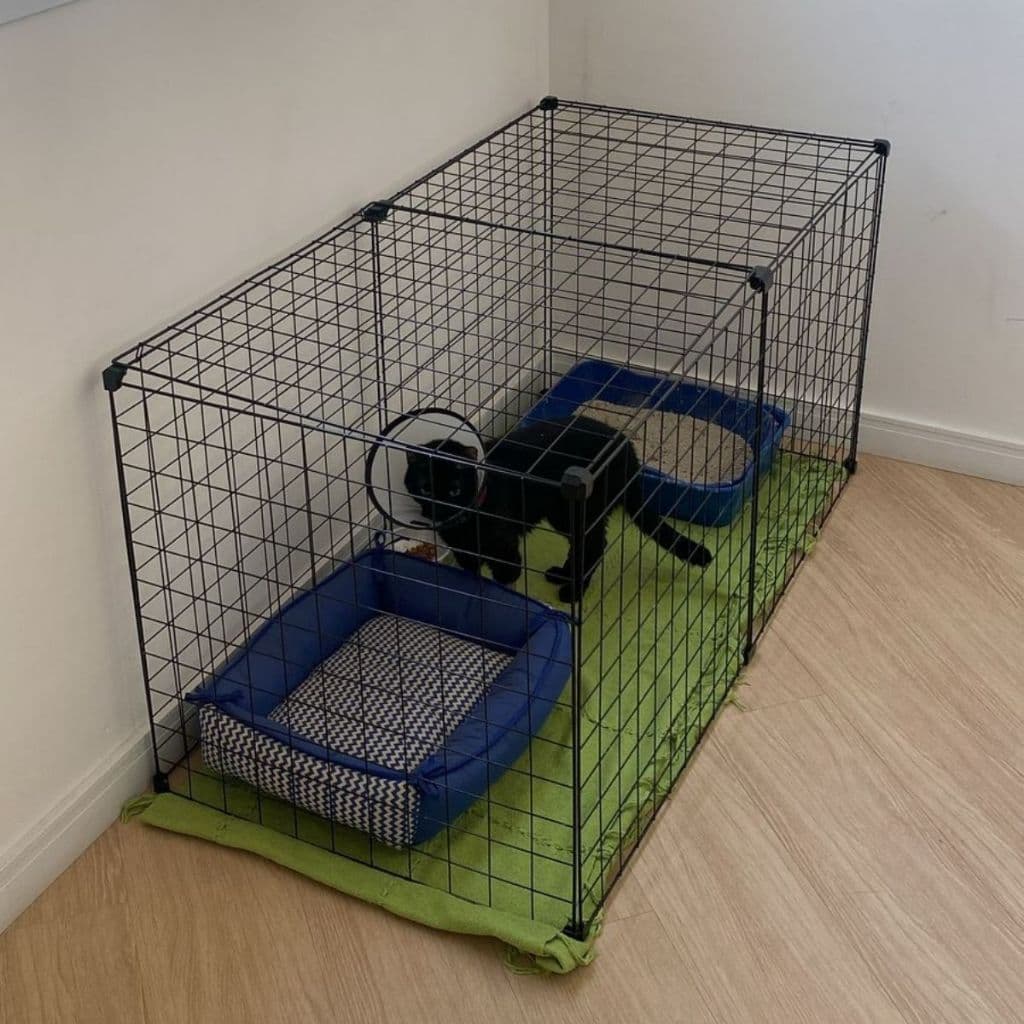 Gaiola de tratamento para gatos Cercado para coelhos com teto ou fundo
