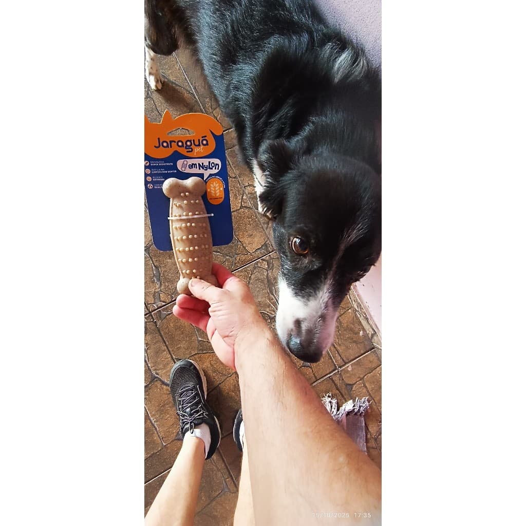 Mordedor Resistente Pet Cães Pequeno, Médio e Grande Porta Feito de Casca de Arroz e Nylon