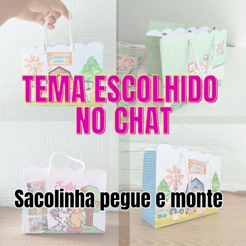 Sacolinha Personalizada Todos os Temas Lembrancinhas Mimos Festa Infantil Pegue e Monte