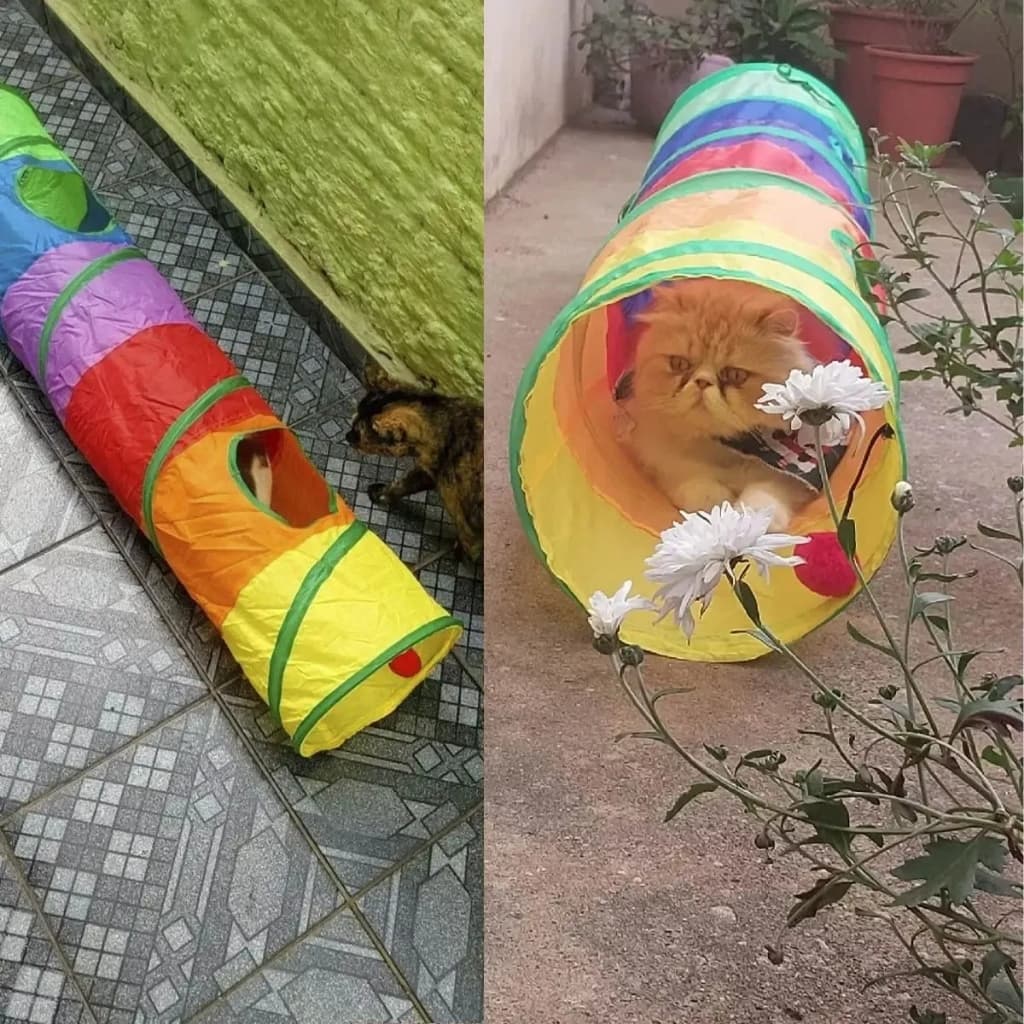 Túnel Para Gatos 3 Entradas Com Bolinha Brinquedo Interativo Colorido
