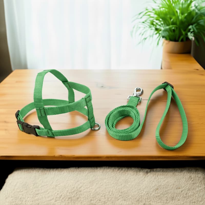 Peitoral com Guia para Cães Confortável, Ajustável e Super Resistente  5 Tamanhos