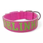 Coleira Para Cachorro Personalizada ( Rosa e Verde ) Amorosso Cães