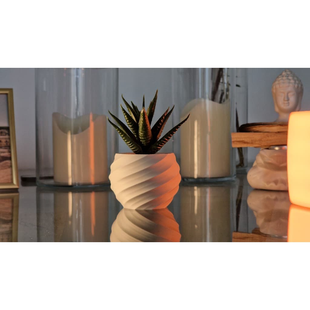 Kit 3 Vasos de Flores Leguminosas Decorativos - Varias Cores