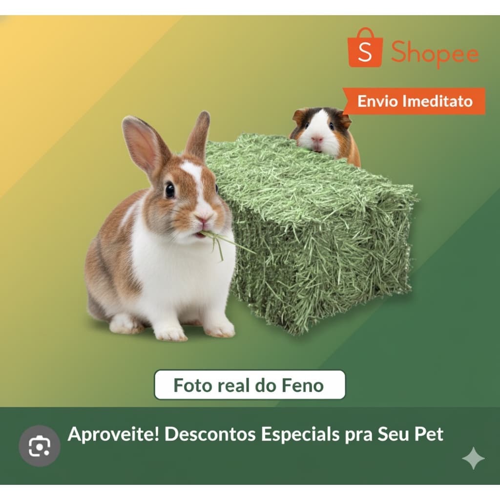 3 kg Feno Tifiton Premium para coelhos, porquinho da índia...